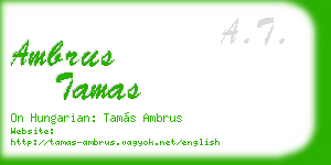 ambrus tamas business card